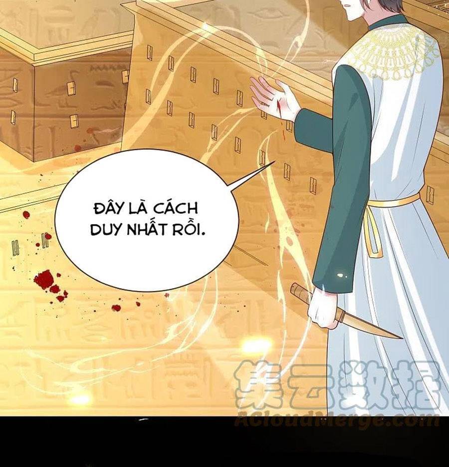 Sủng Hậu Của Vương Chapter 167 - 14