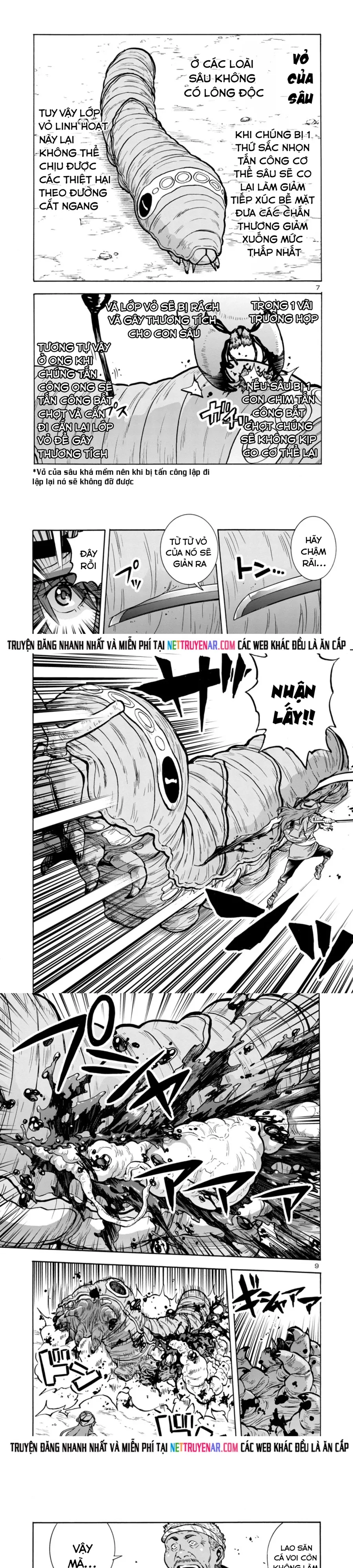 Kyochuu Rettou - Đảo Côn Trùng Chapter 74 - 3