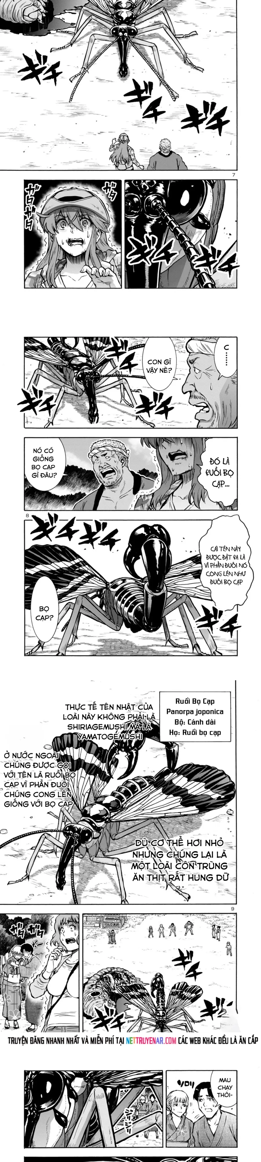 Kyochuu Rettou - Đảo Côn Trùng Chapter 75 - 3