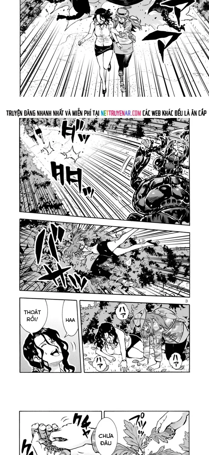 Kyochuu Rettou - Đảo Côn Trùng Chapter 81 - 3