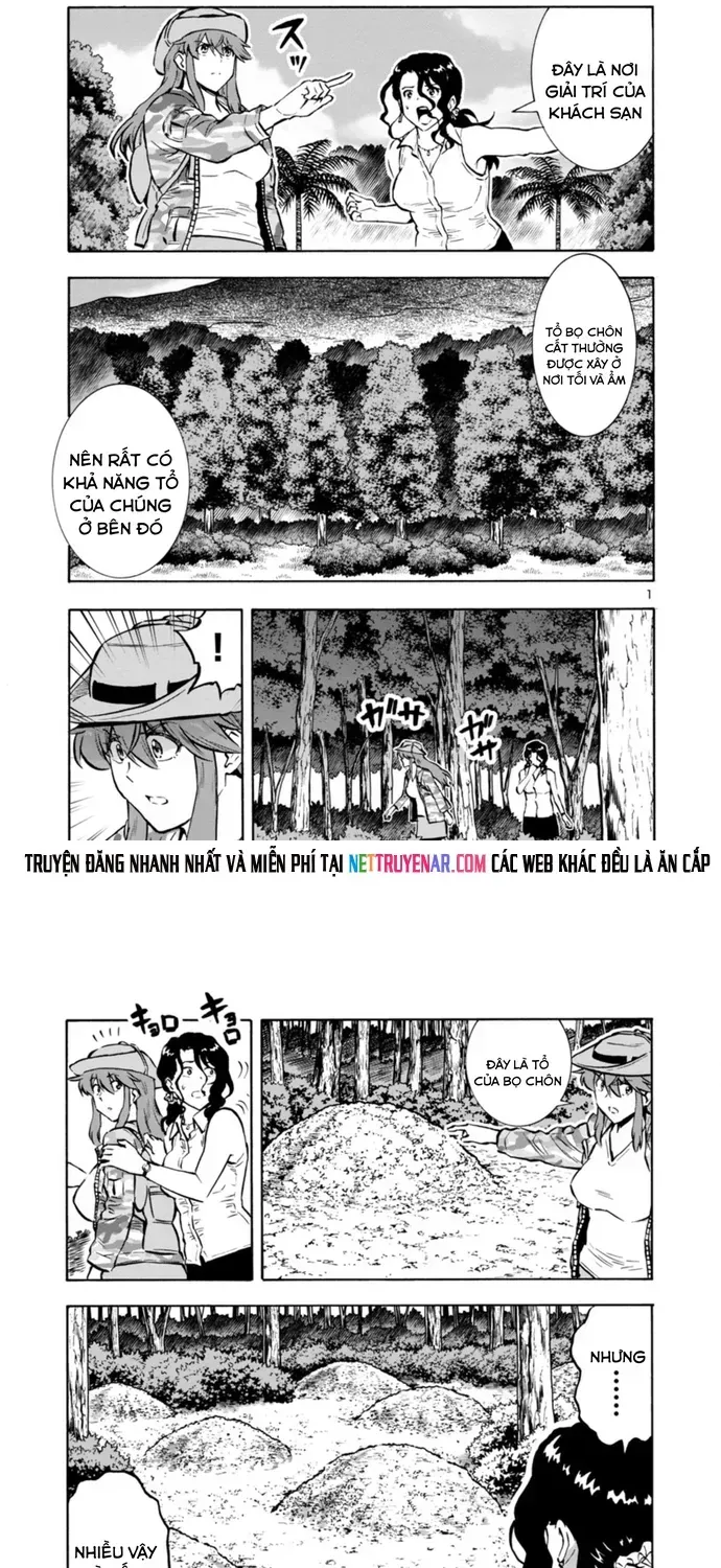 Kyochuu Rettou - Đảo Côn Trùng Chapter 82 - 2