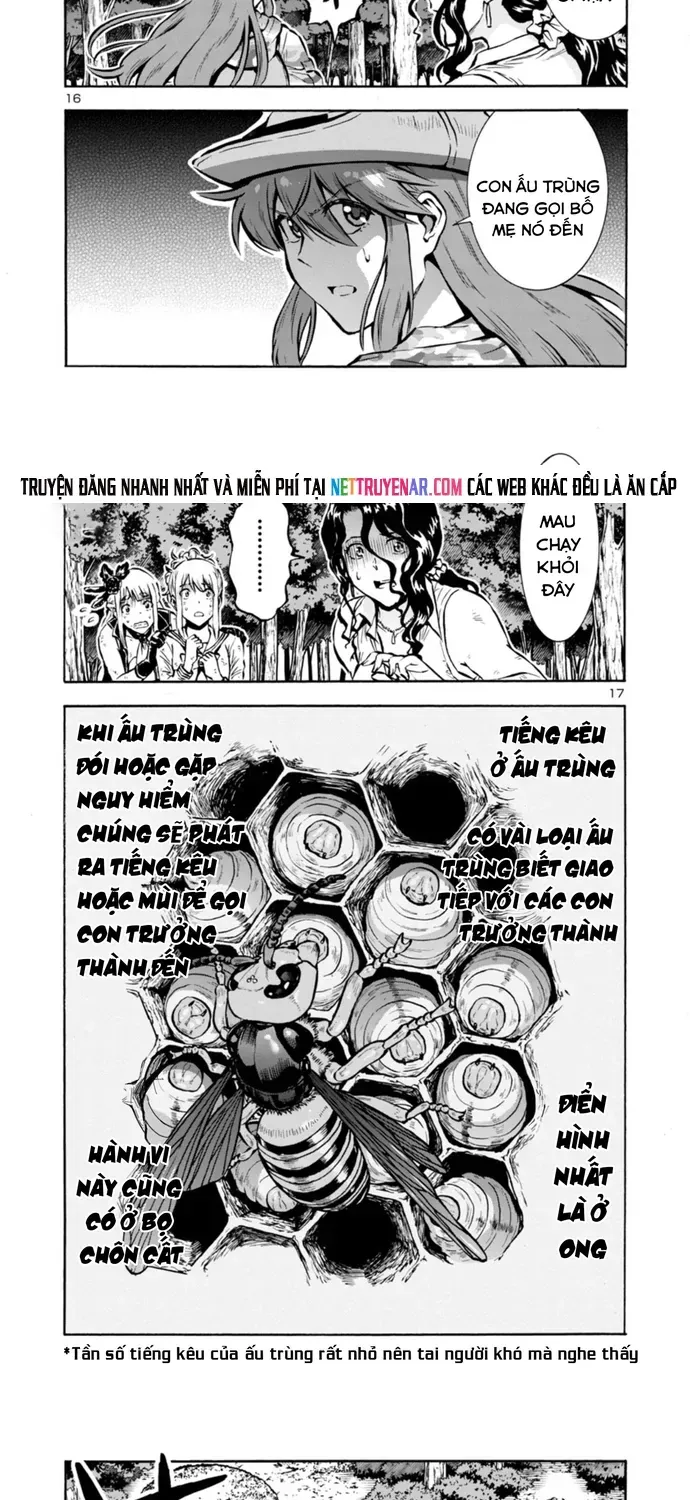 Kyochuu Rettou - Đảo Côn Trùng Chapter 82 - 12