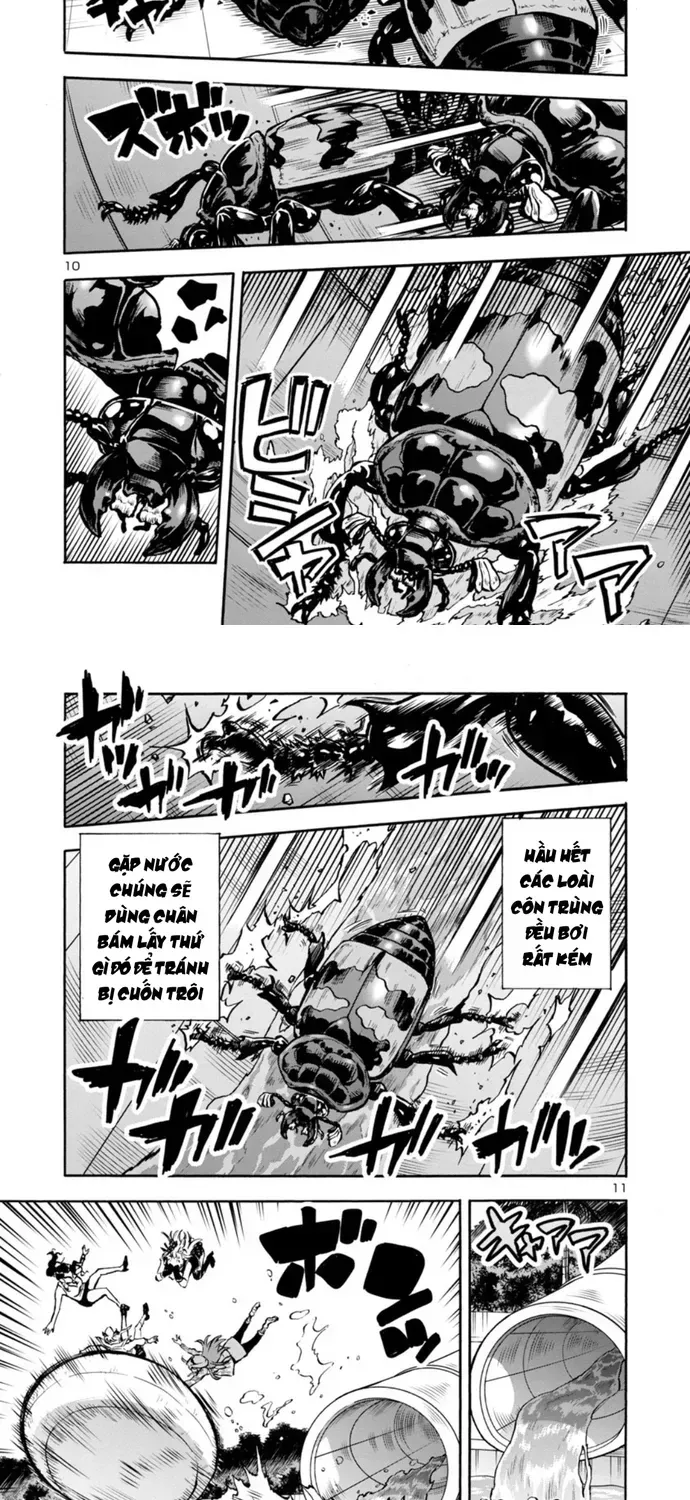Kyochuu Rettou - Đảo Côn Trùng Chapter 83 - 8