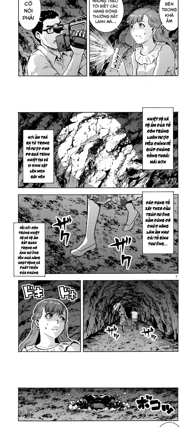 Kyochuu Rettou - Đảo Côn Trùng Chapter 85 - 5