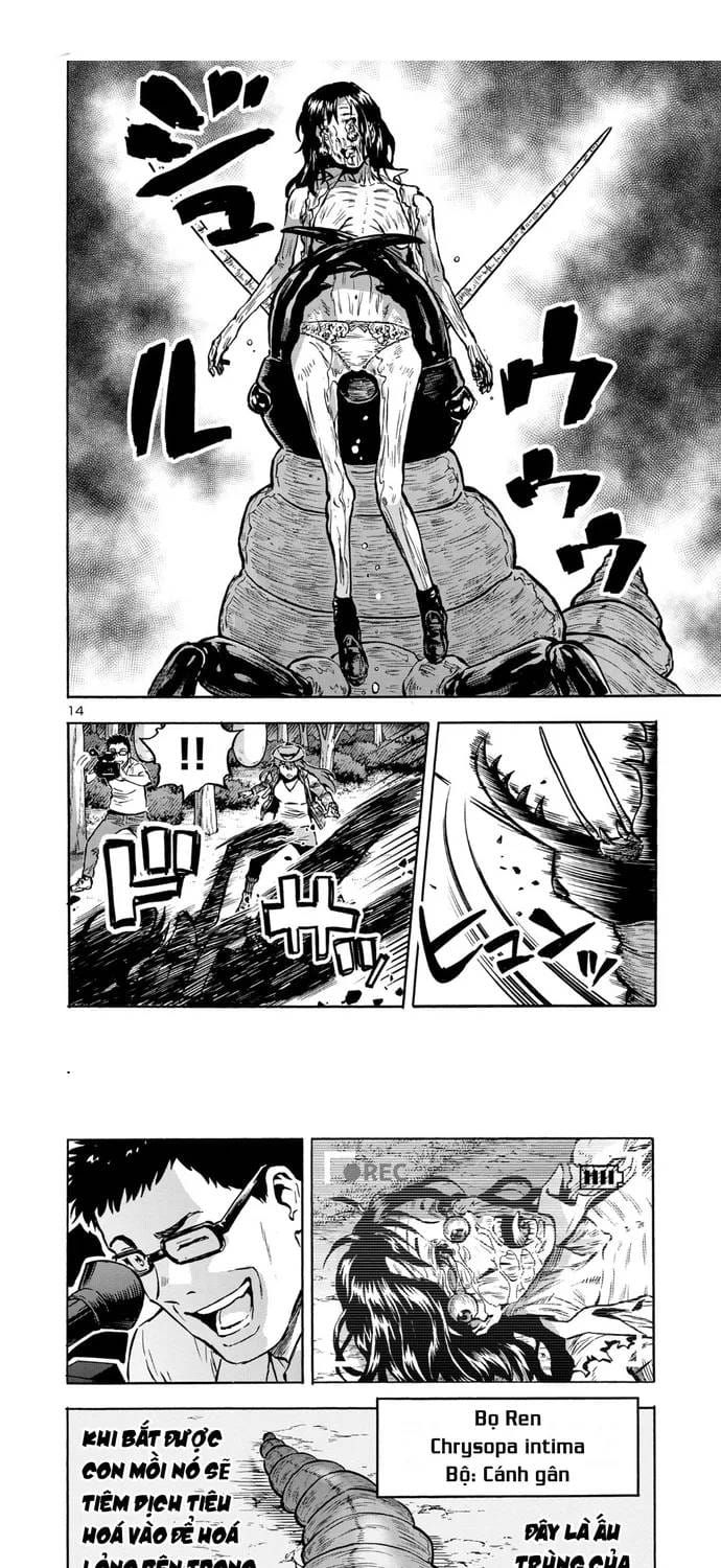 Kyochuu Rettou - Đảo Côn Trùng Chapter 88 - 11