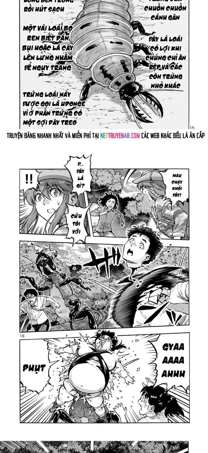 Kyochuu Rettou - Đảo Côn Trùng Chapter 88 - 12