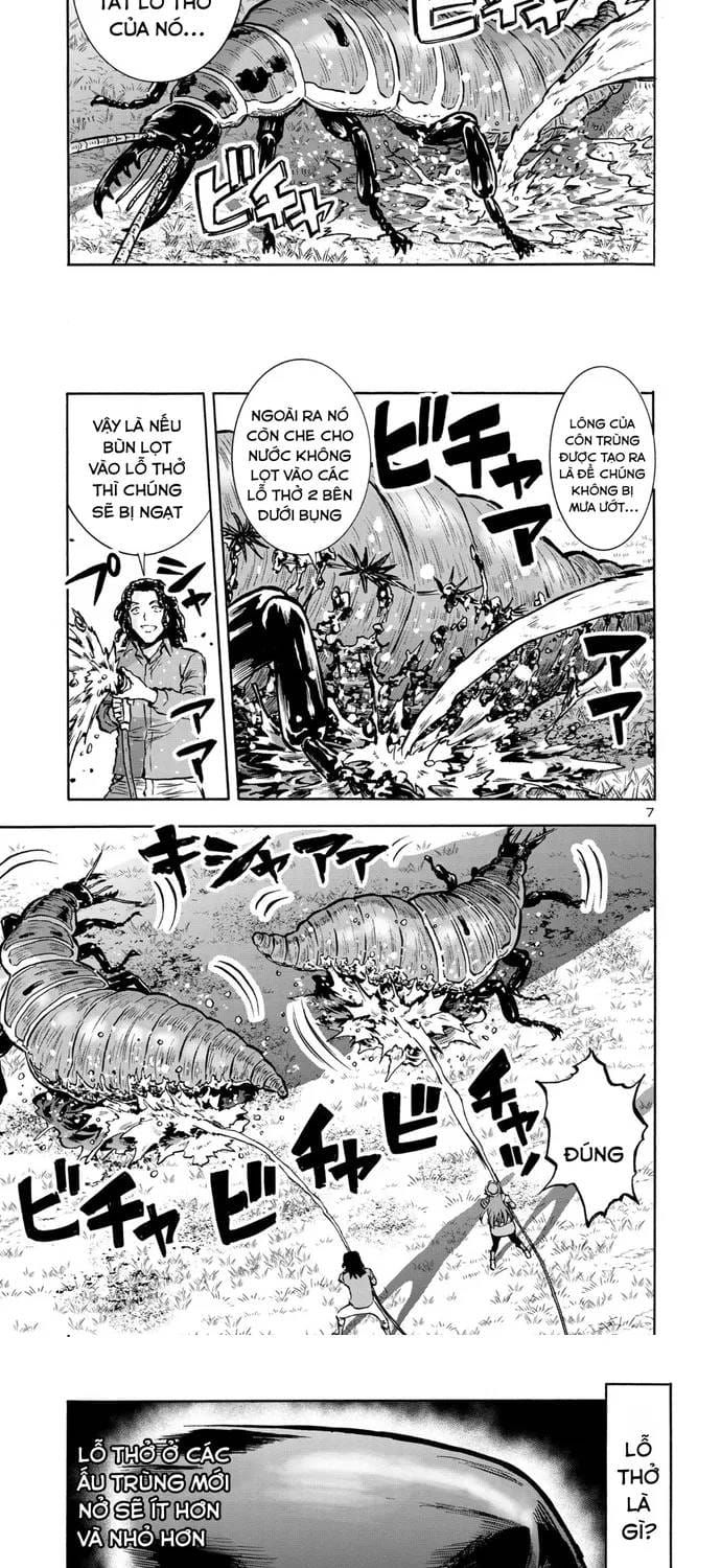 Kyochuu Rettou - Đảo Côn Trùng Chapter 89 - 6