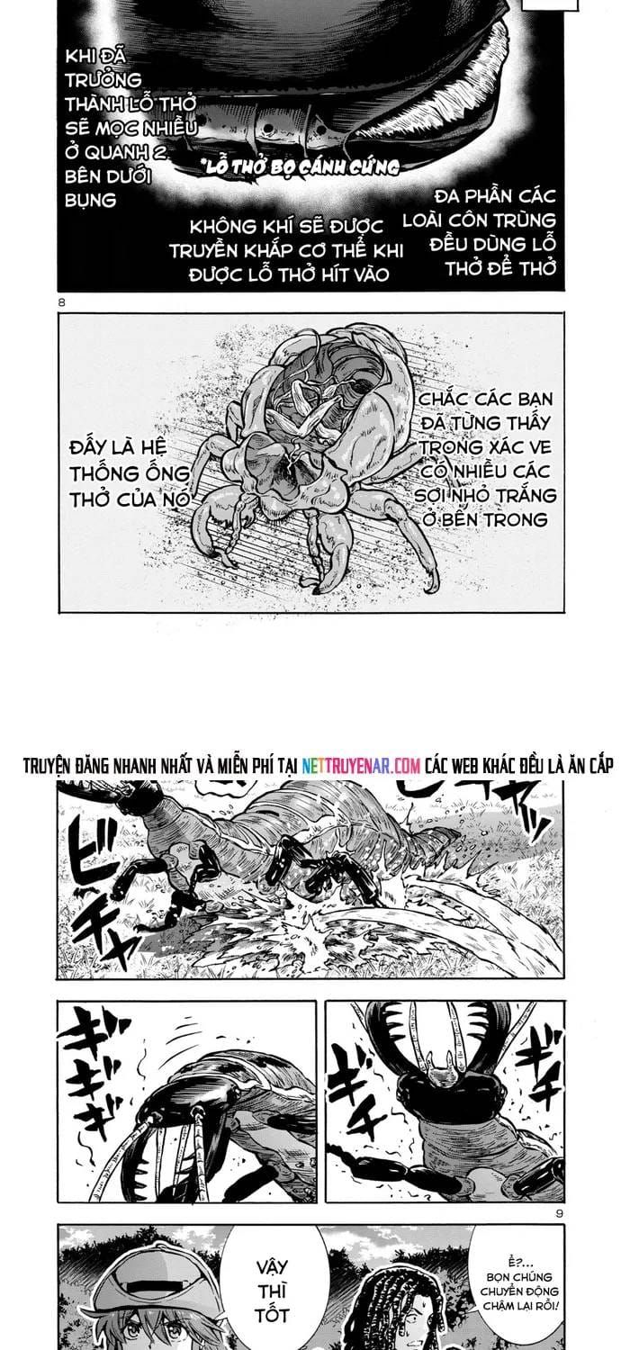 Kyochuu Rettou - Đảo Côn Trùng Chapter 89 - 7