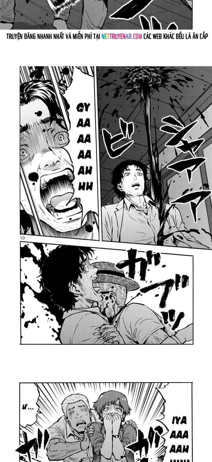Kyochuu Rettou - Đảo Côn Trùng Chapter 91 - 8