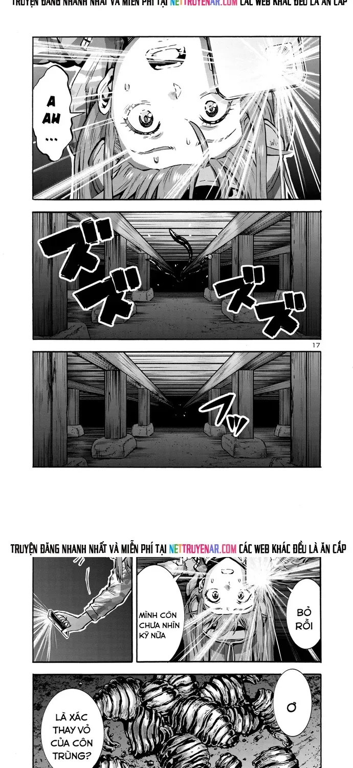 Kyochuu Rettou - Đảo Côn Trùng Chapter 95 - 11