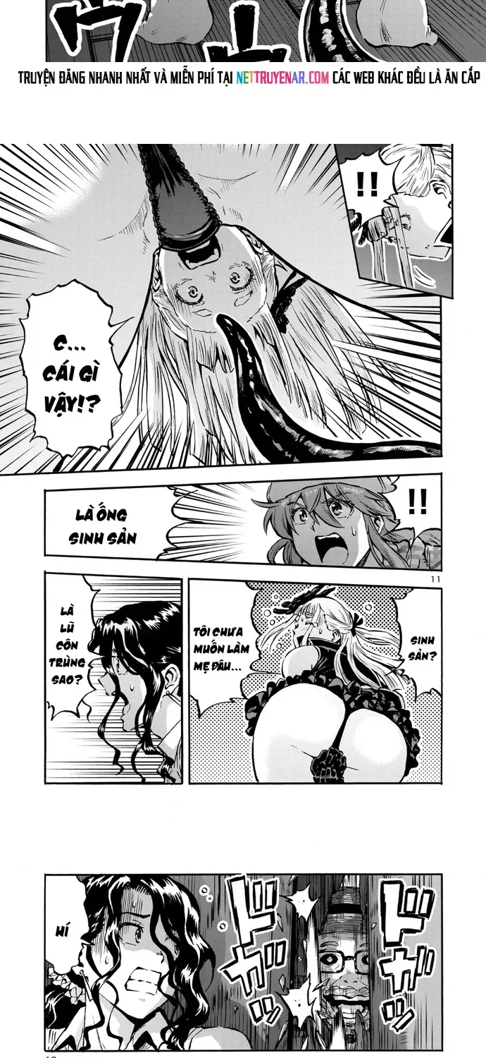 Kyochuu Rettou - Đảo Côn Trùng Chapter 95 - 7
