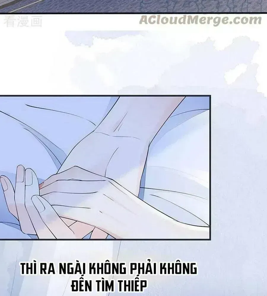 Thái Hậu Quân Hạ Thần Chapter 164.9 - 22