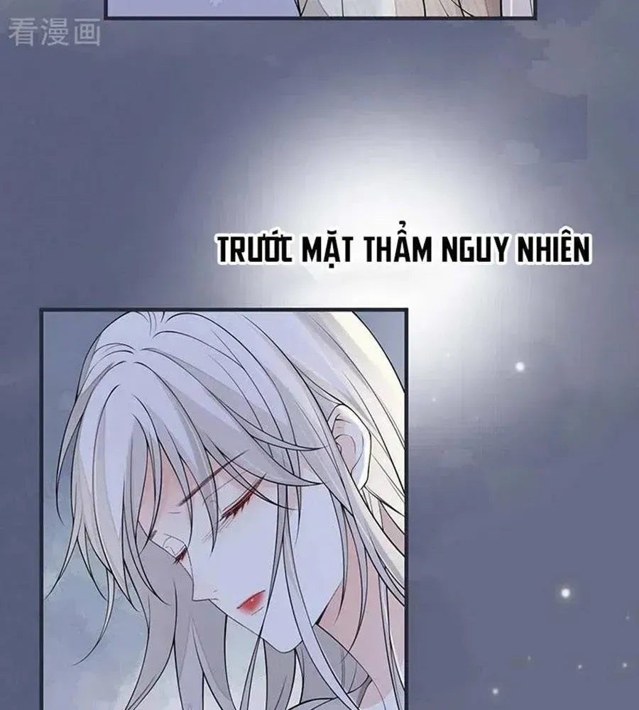 Thái Hậu Quân Hạ Thần Chapter 165.2 - 17