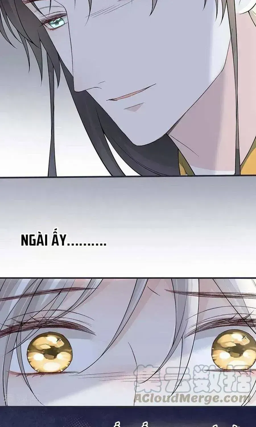 Thái Hậu Quân Hạ Thần Chapter 165.6 - 40