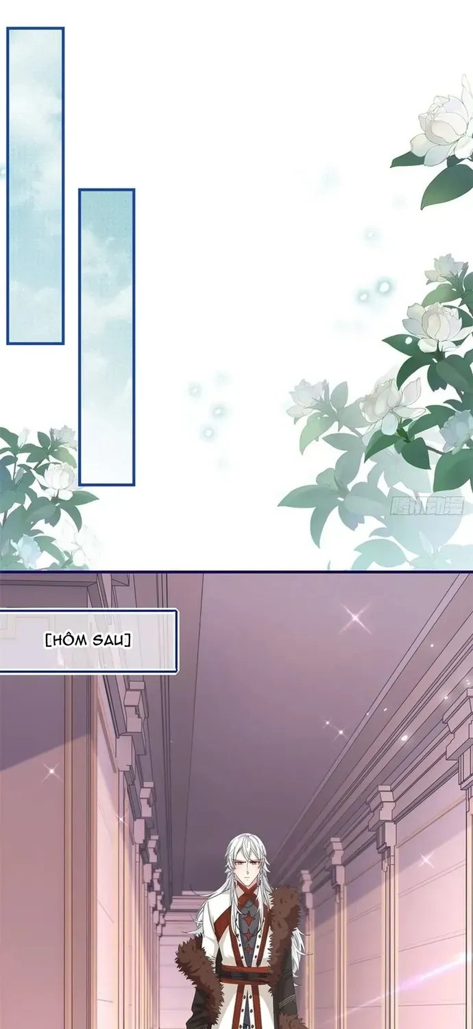 Hoàng Nữ Được Cưng Chiều Nhất Đế Quốc Chapter 115 - 22