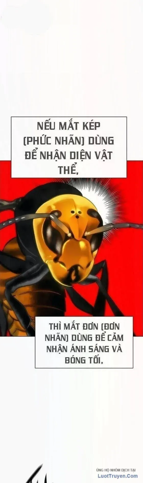 Nhân Trùng Đại Chiến Chapter 197 - 32