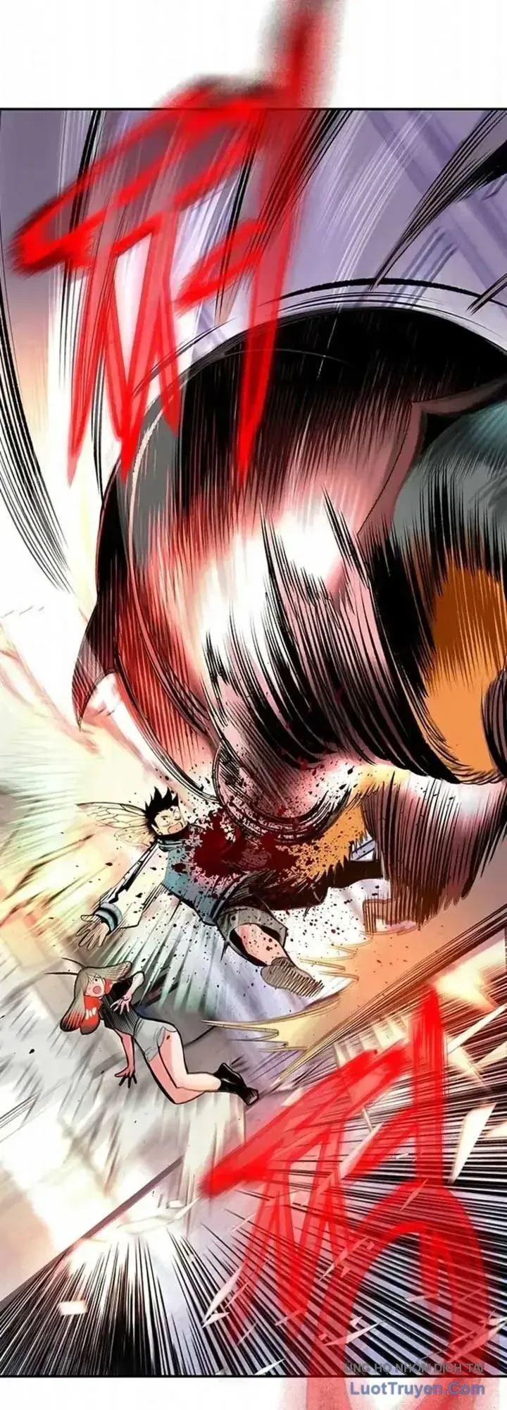 Nhân Trùng Đại Chiến Chapter 205 - 28