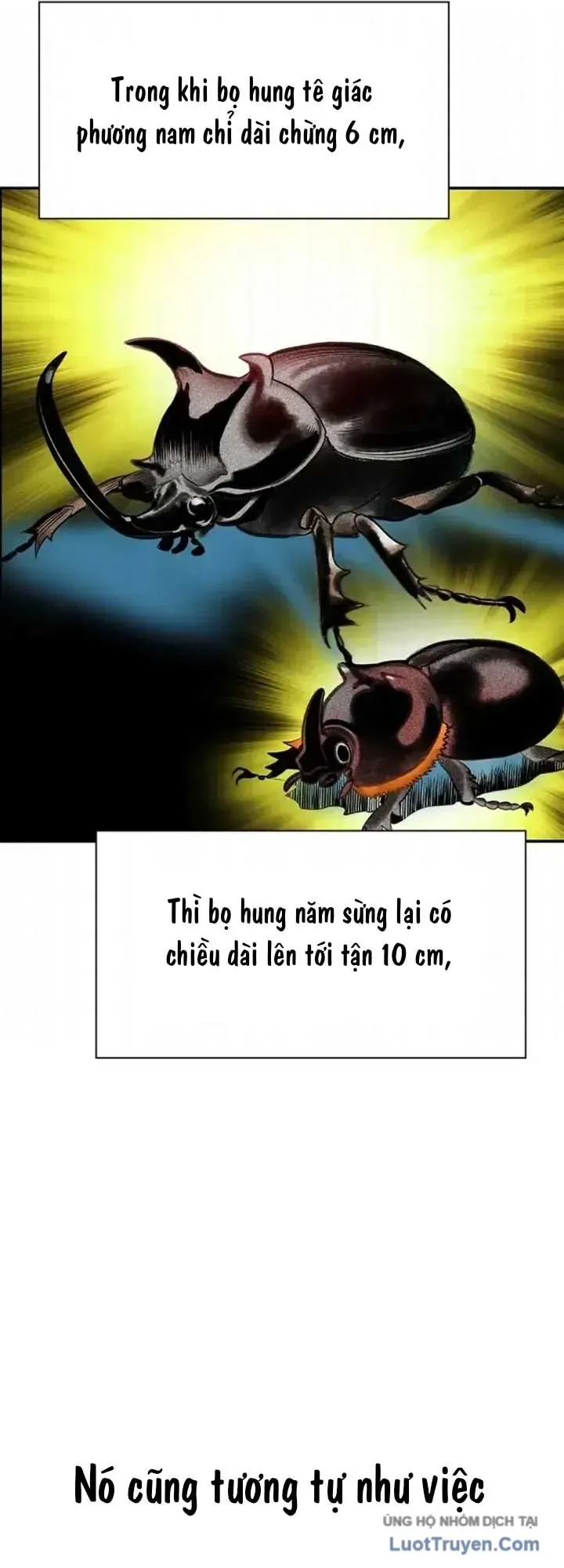 Nhân Trùng Đại Chiến Chapter 205 - 90