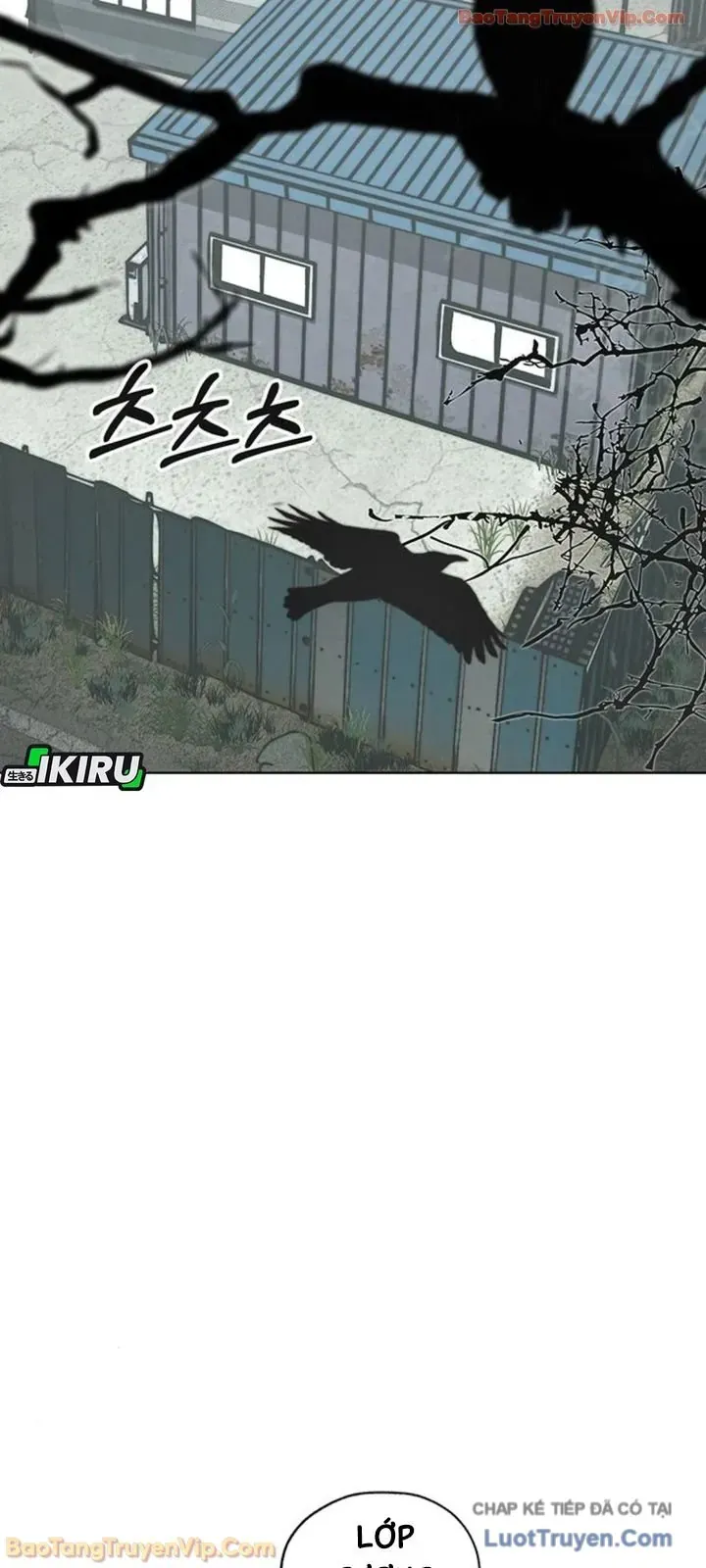 Người Đàn Ông Thực Thụ Chapter 248 - 11