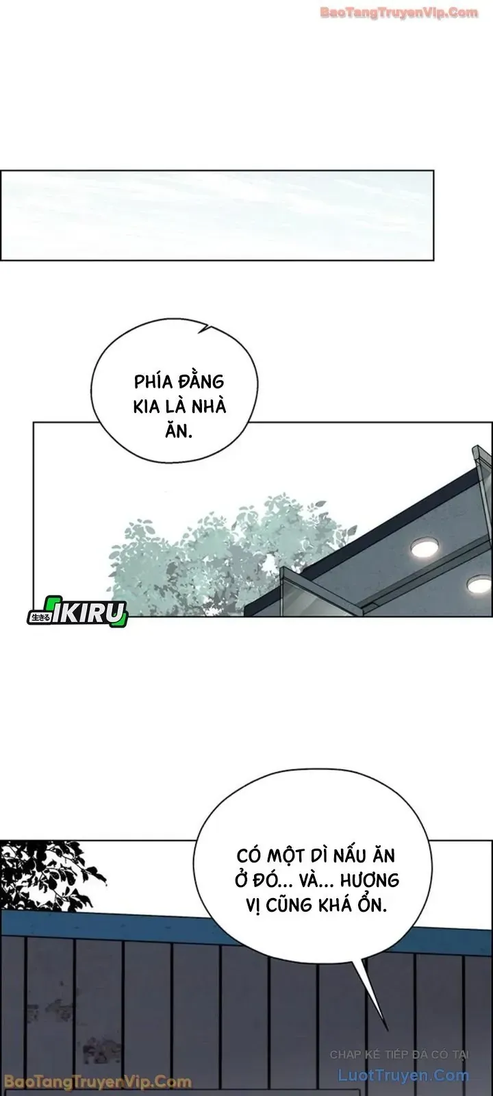 Người Đàn Ông Thực Thụ Chapter 248 - 20