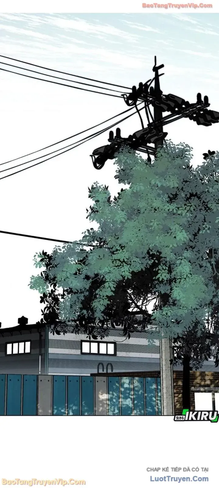 Người Đàn Ông Thực Thụ Chapter 248 - 27