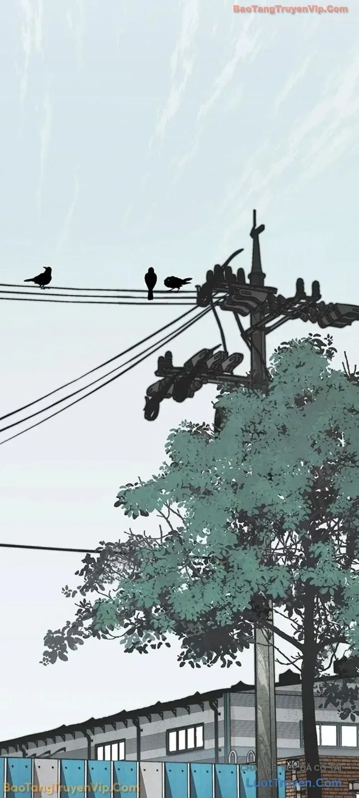 Người Đàn Ông Thực Thụ Chapter 248 - 73