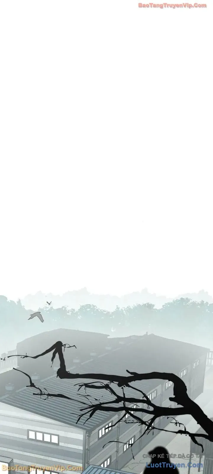 Người Đàn Ông Thực Thụ Chapter 248 - 10