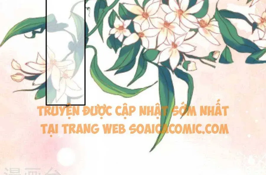 Bà Xã Quyến Rũ Trí Mạng: Tổng Tài Muốn Tái Hôn Chapter 109 - 8