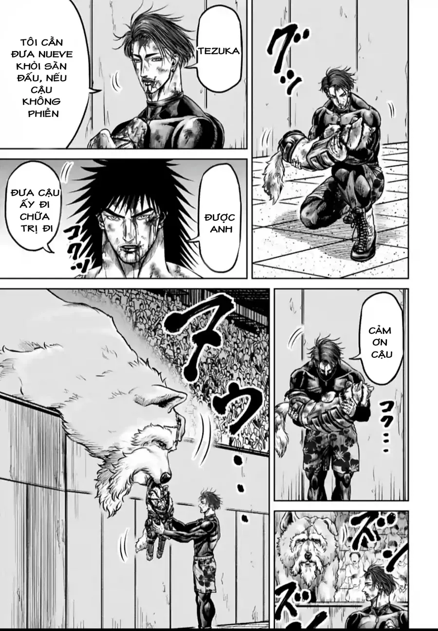 Loạn Đấu Tokyo Chapter 130 - 14