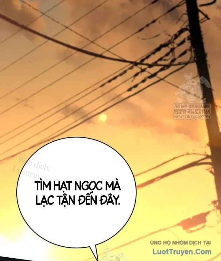 Sự Trở Lại Của Người Chơi Bị Đóng Băng Chapter 206 - 16