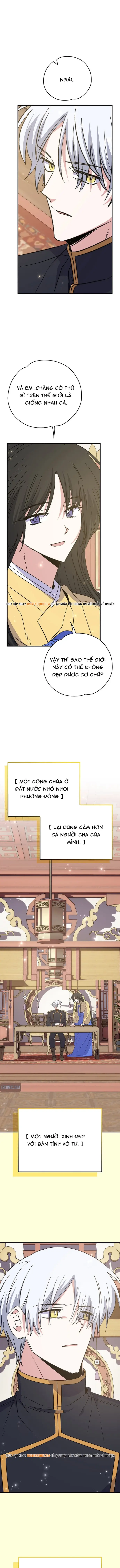 Nhà Hiền Triết Yigret Chapter 127 - 11