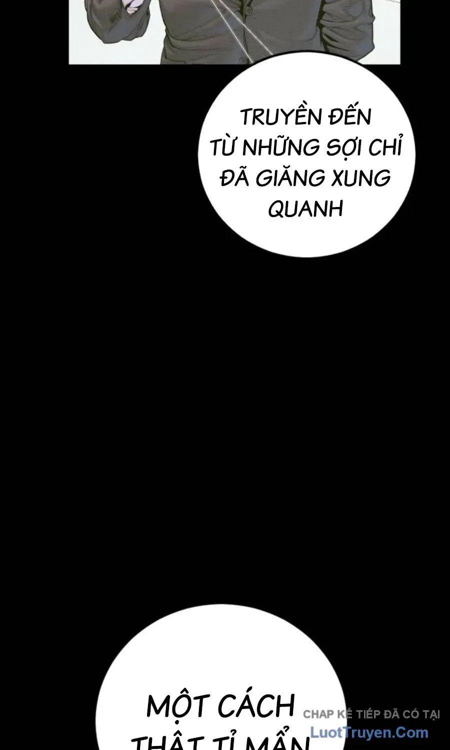 Bố Tôi Là Đặc Vụ Chapter 234 - 95