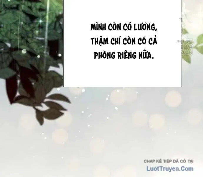 Những Ranker Cấp S Mà Tôi Nuôi Dưỡng Chapter 155 - 70