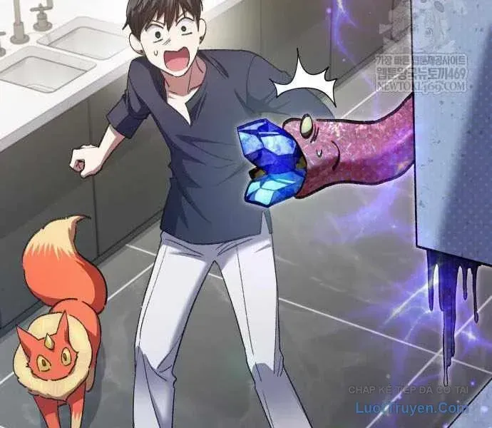 Những Ranker Cấp S Mà Tôi Nuôi Dưỡng Chapter 156 - 77