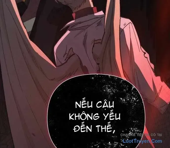 Những Ranker Cấp S Mà Tôi Nuôi Dưỡng Chapter 157 - 206