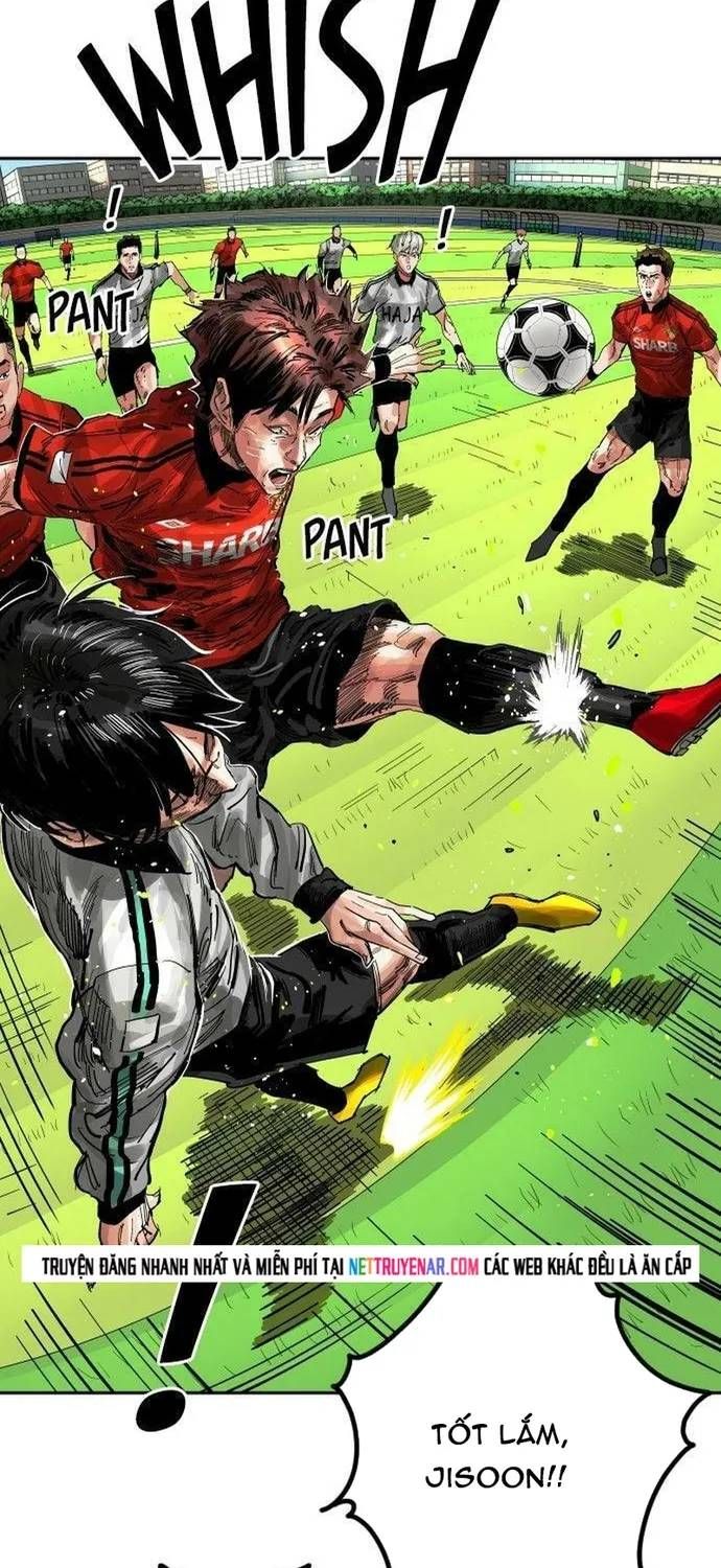 Sân Cỏ Chiến Kí Chapter 211 - 81