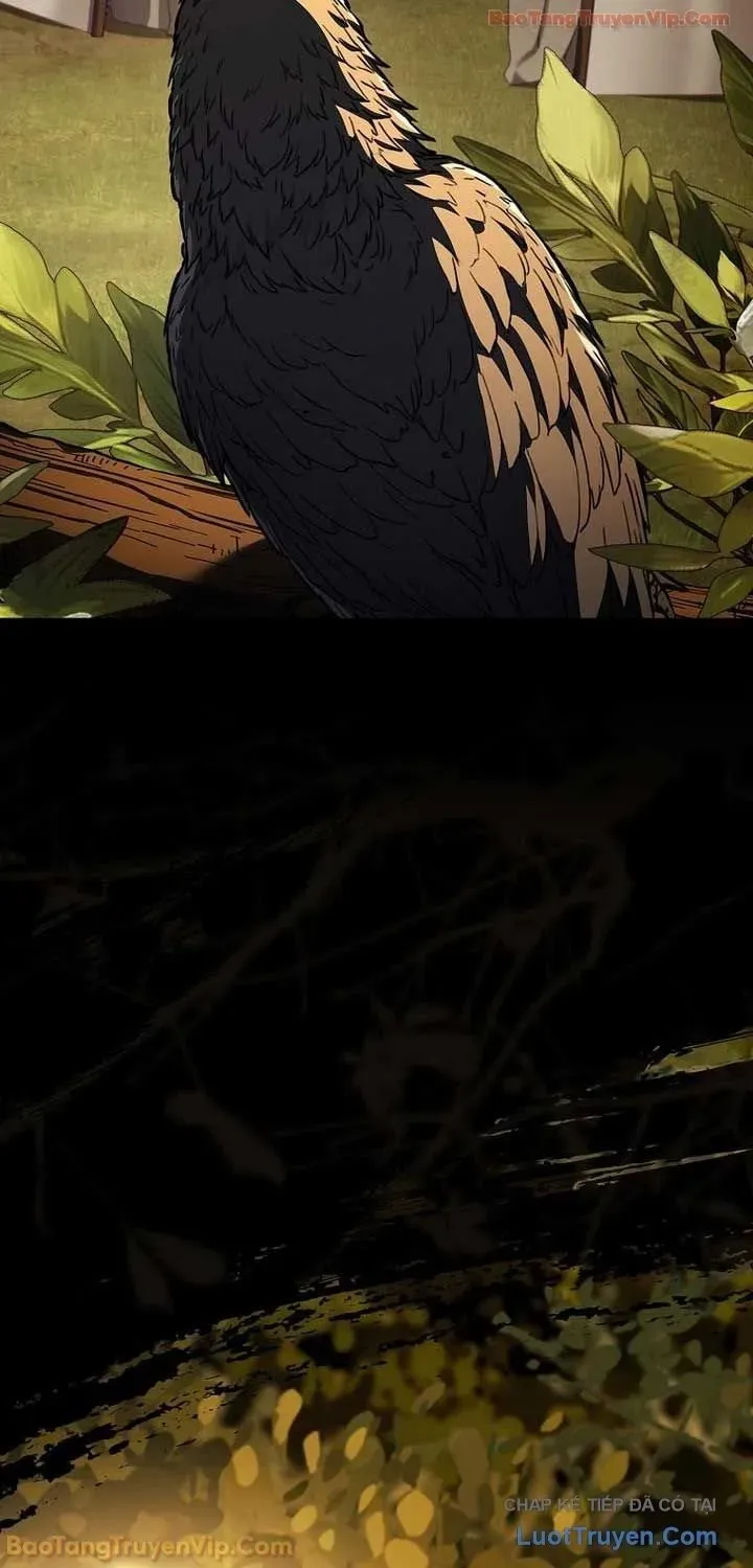 Thiên Tài Ma Pháp Sư Giấu Nghề Chapter 135 - 12