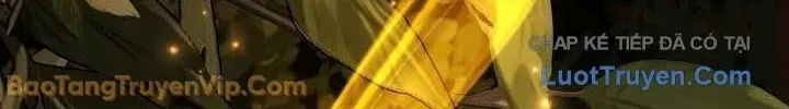 Thiên Tài Ma Pháp Sư Giấu Nghề Chapter 135 - 14