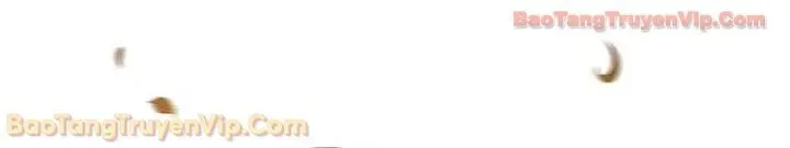 Thiên Tài Ma Pháp Sư Giấu Nghề Chapter 135 - 43