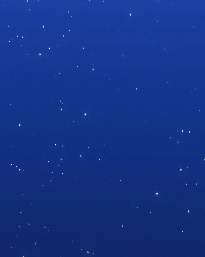 Gậy Gỗ Cấp 99+ Chapter 185 - 37