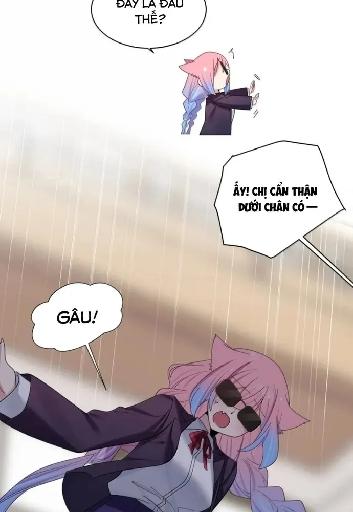 Làm Sao Để Chạy Trốn Dàn Hậu Cung Chapter 206 - 14
