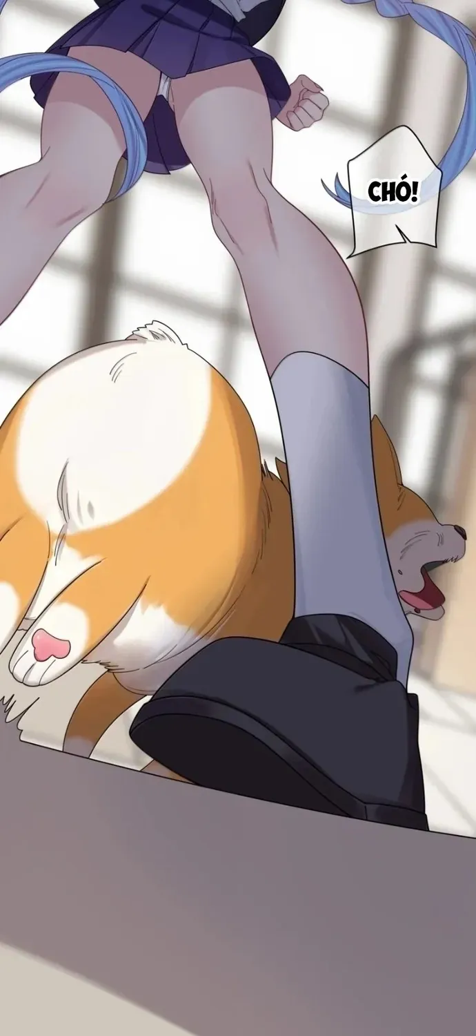 Làm Sao Để Chạy Trốn Dàn Hậu Cung Chapter 206 - 15