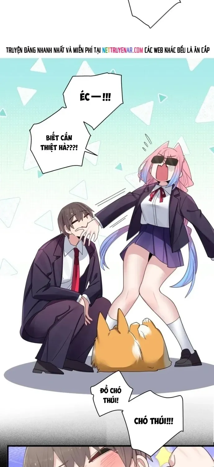 Làm Sao Để Chạy Trốn Dàn Hậu Cung Chapter 206 - 25