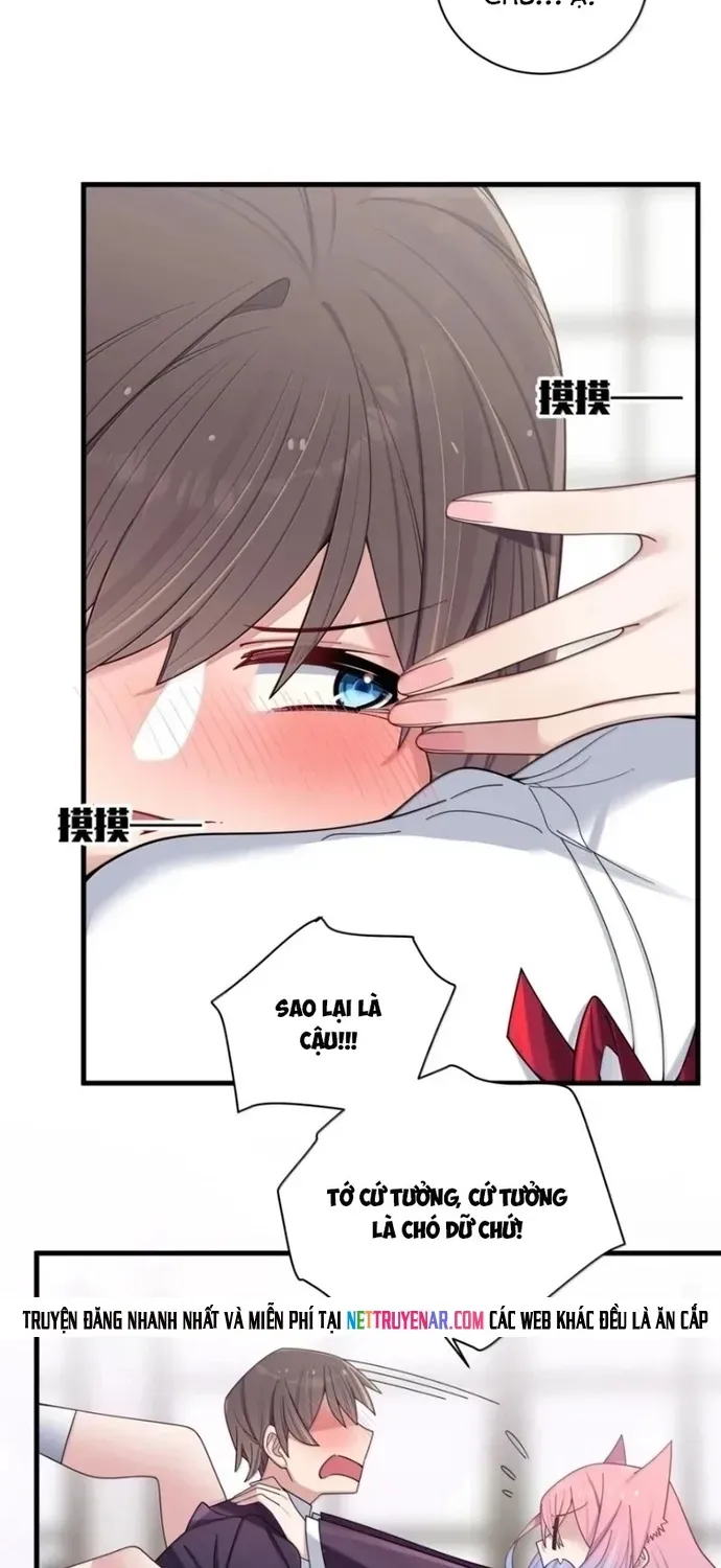 Làm Sao Để Chạy Trốn Dàn Hậu Cung Chapter 206 - 30