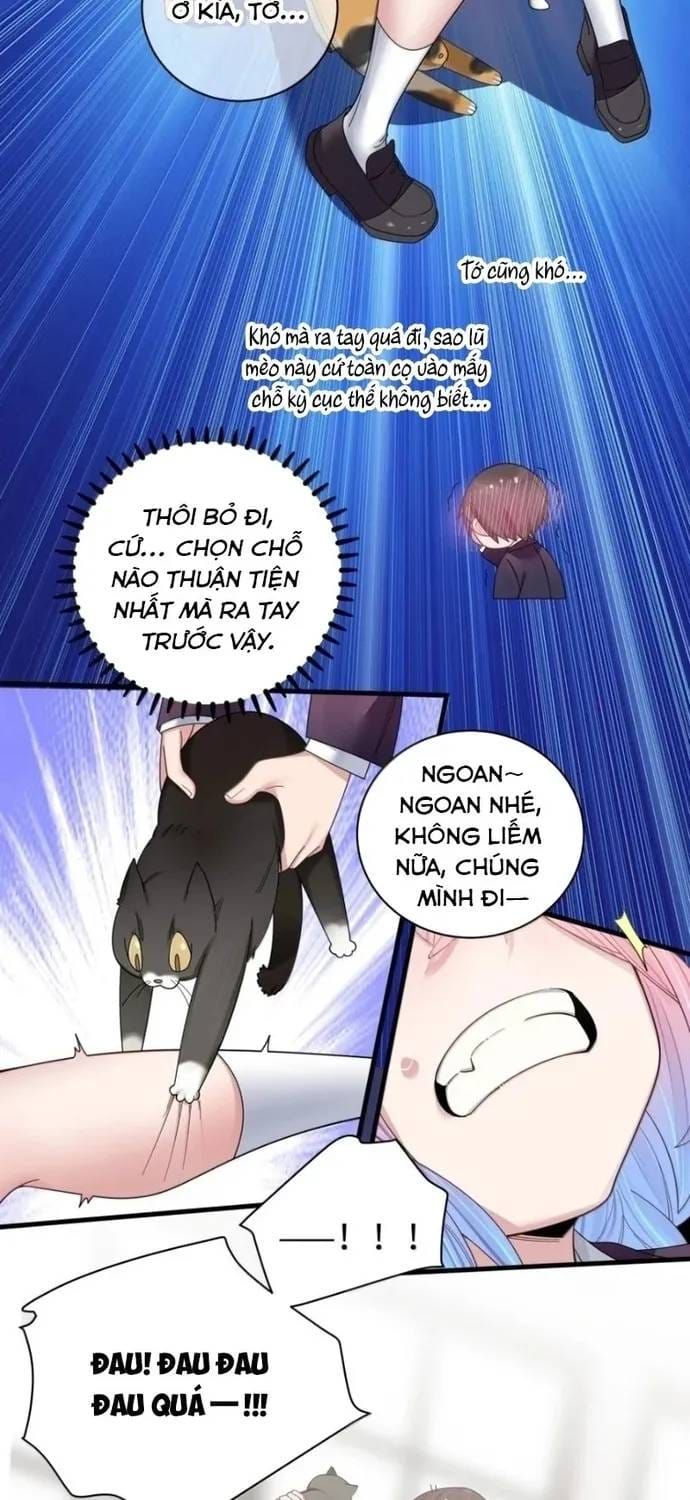 Làm Sao Để Chạy Trốn Dàn Hậu Cung Chapter 207 - 19