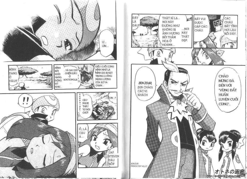 Pokemon Special Chapter 253.3 - 13