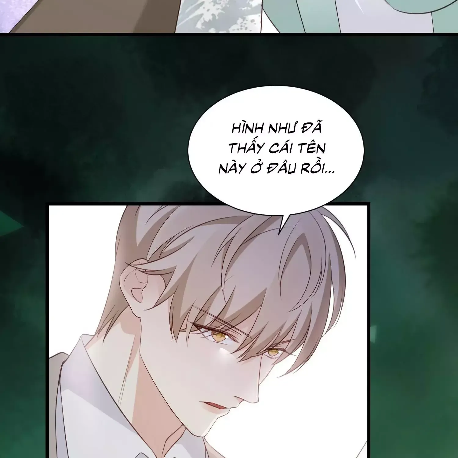 Kiều Thê Hào Môn Chạy Đi Đâu Chapter 48 - 10