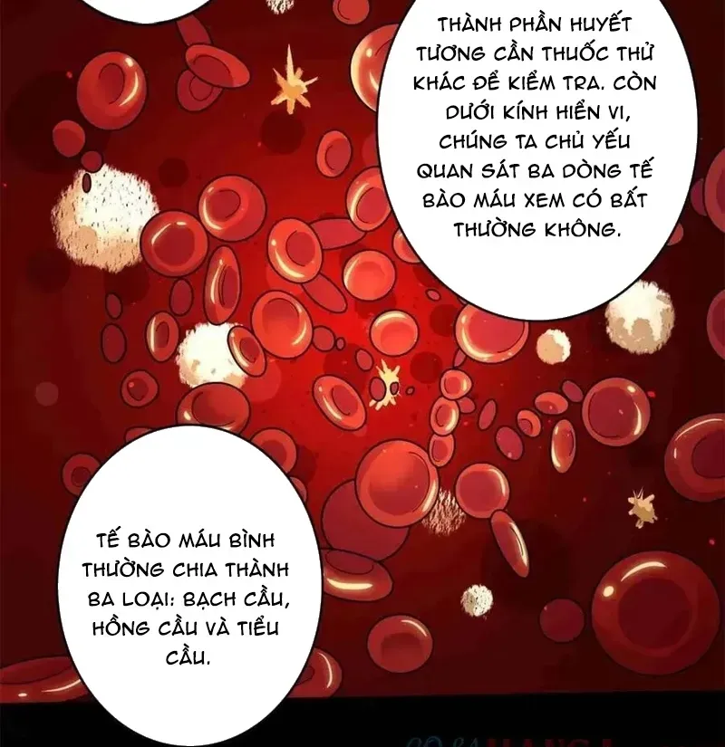 Nhân Vật Phản Diện? Chắc Chắn Không Phải Ta Chapter 234 - 20