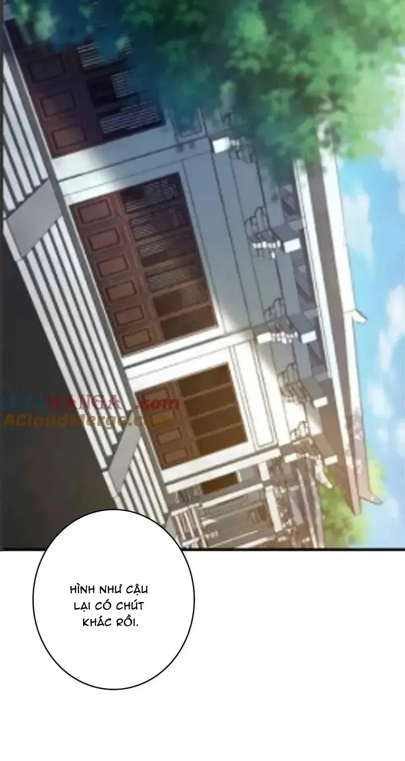 Nhân Vật Phản Diện? Chắc Chắn Không Phải Ta Chapter 234 - 52