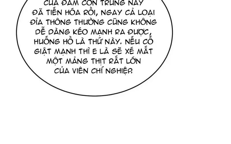 Nhân Vật Phản Diện? Chắc Chắn Không Phải Ta Chapter 248 - 13